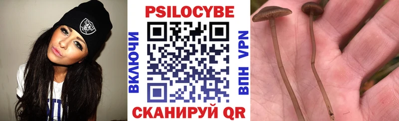 Галлюциногенные грибы прущие грибы  Керчь 